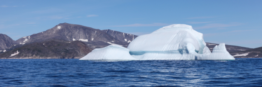 Iceberg flottant dans un paysage arctique.